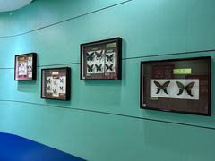 -上海昆虫博物馆