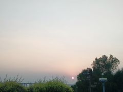 -宝安西湾红树林湿地公园