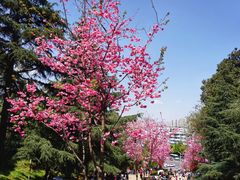 -昆明动物园