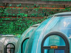 -遇见阿家村云南菜(魏公村店)