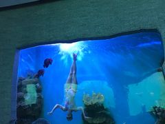 -瑞德姆美人鱼海底演艺主题餐厅(亚龙湾店)