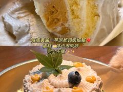 -野草莓自由市场