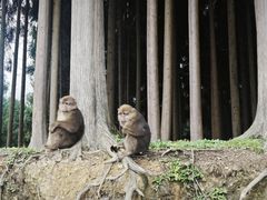 -太阳湾风景区