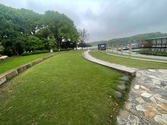 -昆山城市生态森林公园