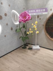 -dōTERRA多特瑞精油生活馆