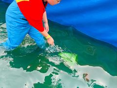-第五季龙水凤港生态露营农场