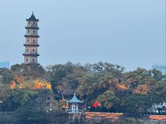 -江心屿景区