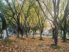 -苏州河梦清园环保主题公园