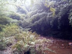 -四洞沟景区