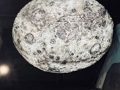 -辽宁古生物博物馆