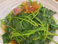 番薯叶-粤·向群饭店(泮塘路店)