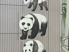 -秦皇岛野生动物园