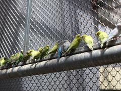 -正佳雨林生态植物园