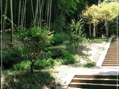 -峙山公园