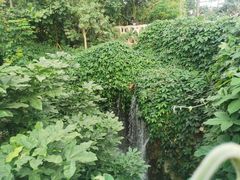 -南山植物园