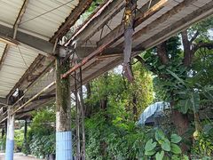 -老火车站牛肉粉