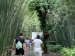 -竹泉村旅游度假区