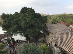 -东莞市可园博物馆