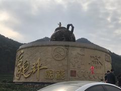 -龙坞茶村