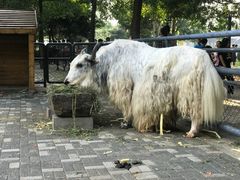 -长白岛森林公园