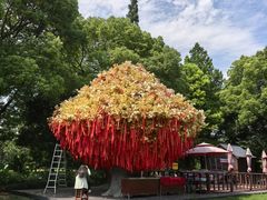 -狼山风景名胜区