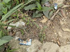 -梧桐山风景名胜区