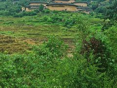 -南靖田螺坑土楼群景区