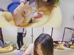 -逗柴咖啡屋·狗咖猫咖宠物桌游