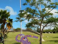 -美国纪念公园