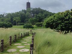 -红花山公园