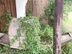 -乌记大厨餐厅