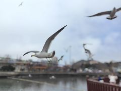 -大连老虎滩海洋公园