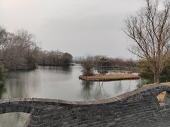 -溱湖国家湿地公园