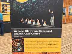 -怀托摩萤火虫洞