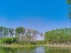 -东郊湿地公园