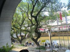 -广东胜利宾馆西关粤中餐厅
