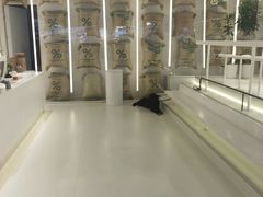 -% Arabica阿拉比卡咖啡(前滩太古里店)