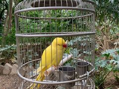 -南宫五洲植物乐园