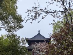 -堤角公园