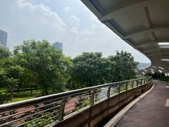 -顺峰山公园