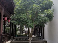 -檀园