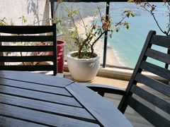 -椰味面包鸡.薄皮蒸饺(坪山店)
