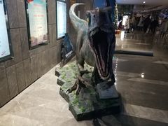 -武商摩尔影城(国广IMAX激光店)