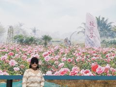 -亚龙湾国际玫瑰谷