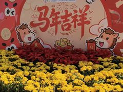 -汕头星城湾欢乐世界