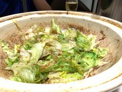 生距生菜-天天鱼港·海鲜·鲅鱼水饺·招牌烤鸭(黄骅店)