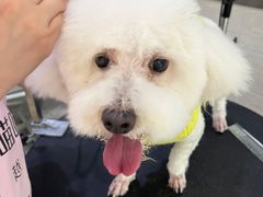 -暖阳宠物医院·犬猫康复中心·骨科