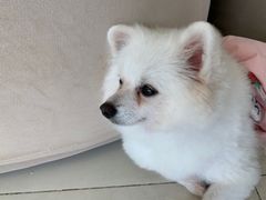 -怪兽屋·羊驼·猫咖·狗咖(俊华广场店)