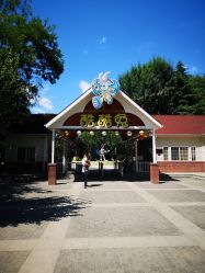 -酷酷兔少儿拓展天地