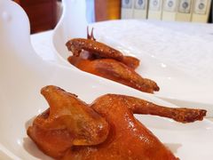 金奖芙蓉鸽-好食上(喜盈门.范城店)